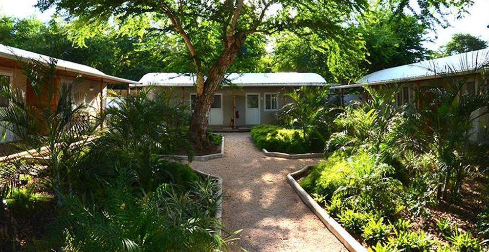 Vanilla House Riviere Noire Exterior photo